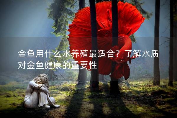 金鱼用什么水养殖最适合？了解水质对金鱼健康的重要性