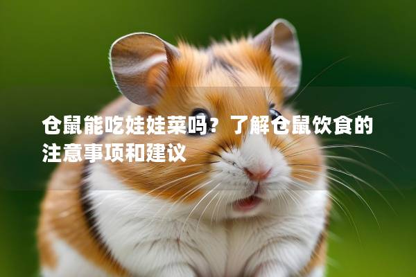 仓鼠能吃娃娃菜吗？了解仓鼠饮食的注意事项和建议