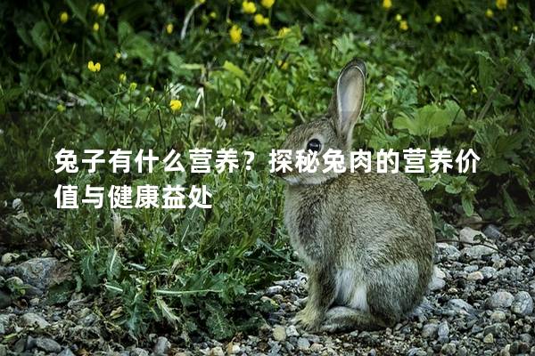 兔子有什么营养？探秘兔肉的营养价值与健康益处