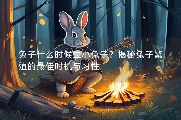 兔子什么时候生小兔子？揭秘兔子繁殖的最佳时机与习性