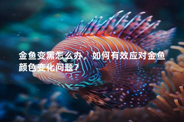 金鱼变黑怎么办，如何有效应对金鱼颜色变化问题？