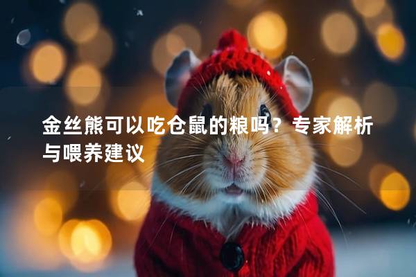 金丝熊可以吃仓鼠的粮吗？专家解析与喂养建议