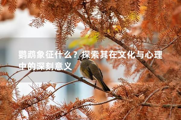 鹦鹉象征什么？探索其在文化与心理中的深刻意义