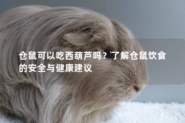 仓鼠可以吃西葫芦吗？了解仓鼠饮食的安全与健康建议