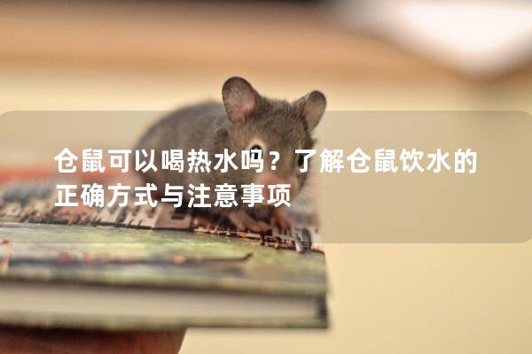 仓鼠可以喝热水吗？了解仓鼠饮水的正确方式与注意事项