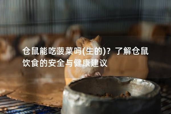 仓鼠能吃菠菜吗(生的)？了解仓鼠饮食的安全与健康建议