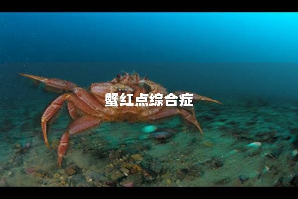 蟹红点综合症