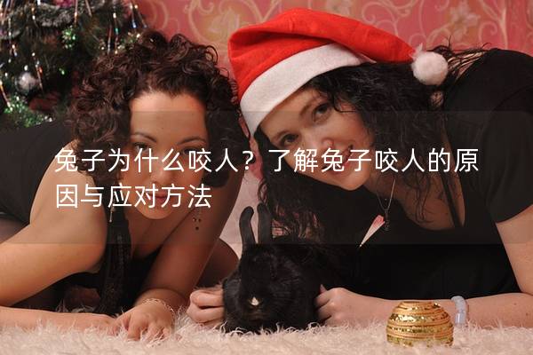 兔子为什么咬人？了解兔子咬人的原因与应对方法
