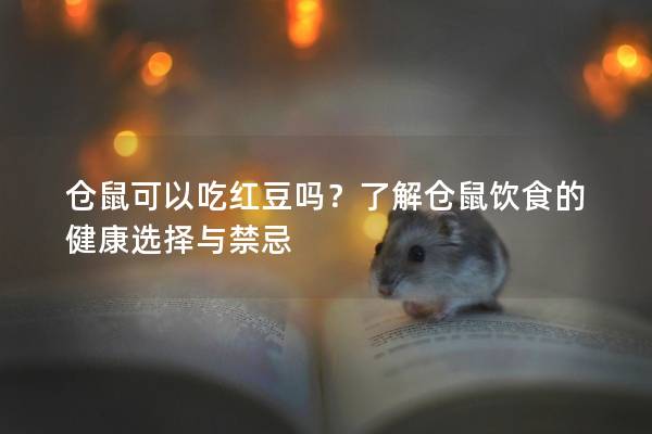 仓鼠可以吃红豆吗？了解仓鼠饮食的健康选择与禁忌