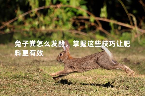 兔子粪怎么发酵，掌握这些技巧让肥料更有效