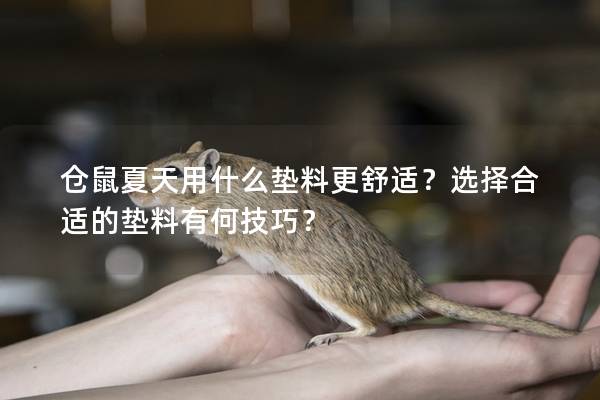 仓鼠夏天用什么垫料更舒适？选择合适的垫料有何技巧？