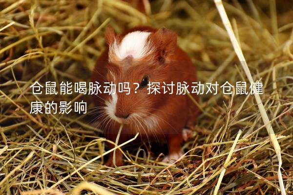 仓鼠能喝脉动吗？探讨脉动对仓鼠健康的影响