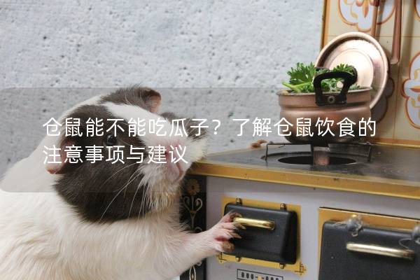 仓鼠能不能吃瓜子？了解仓鼠饮食的注意事项与建议