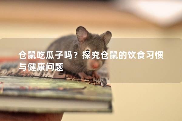 仓鼠吃瓜子吗？探究仓鼠的饮食习惯与健康问题