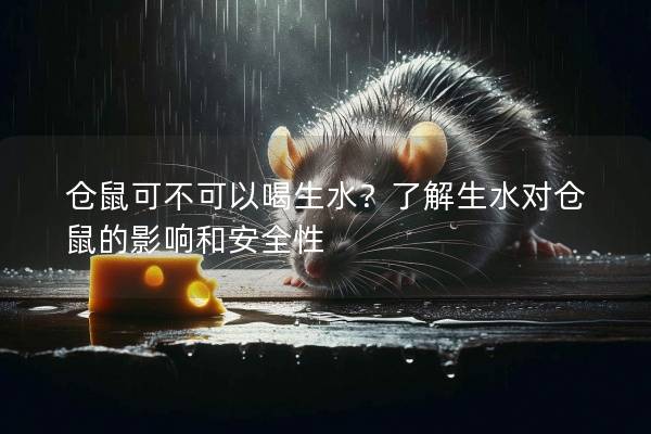 仓鼠可不可以喝生水？了解生水对仓鼠的影响和安全性