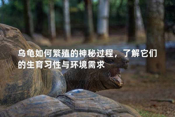 乌龟如何繁殖的神秘过程，了解它们的生育习性与环境需求