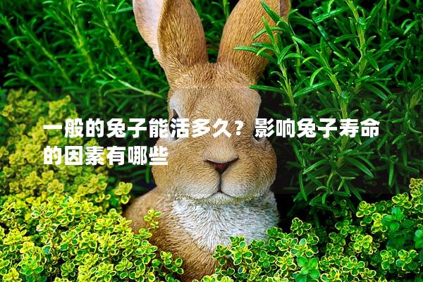 一般的兔子能活多久？影响兔子寿命的因素有哪些