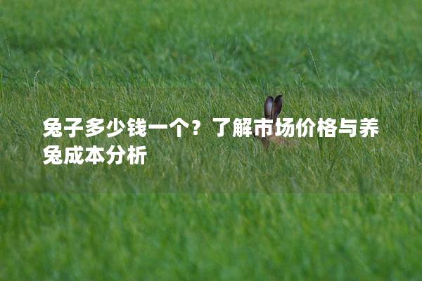 兔子多少钱一个？了解市场价格与养兔成本分析