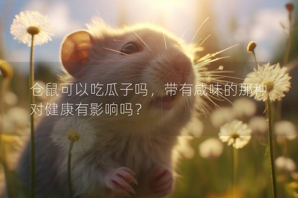 仓鼠可以吃瓜子吗，带有咸味的那种对健康有影响吗？