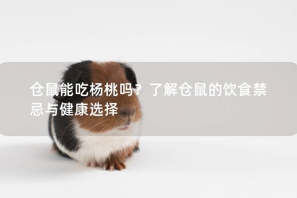 仓鼠能吃杨桃吗？了解仓鼠的饮食禁忌与健康选择