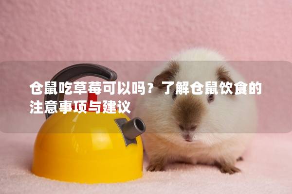 仓鼠吃草莓可以吗？了解仓鼠饮食的注意事项与建议