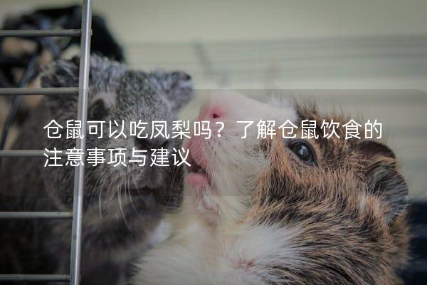 仓鼠可以吃凤梨吗？了解仓鼠饮食的注意事项与建议
