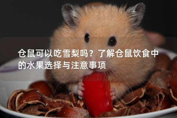 仓鼠可以吃雪梨吗？了解仓鼠饮食中的水果选择与注意事项