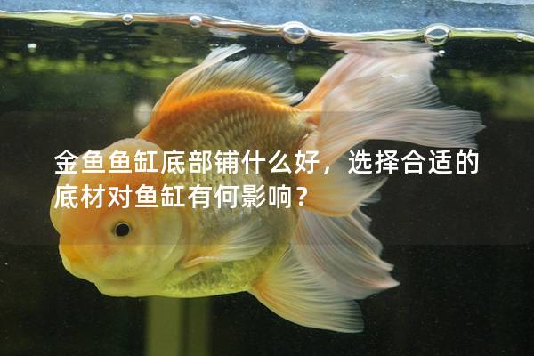 金鱼鱼缸底部铺什么好，选择合适的底材对鱼缸有何影响？