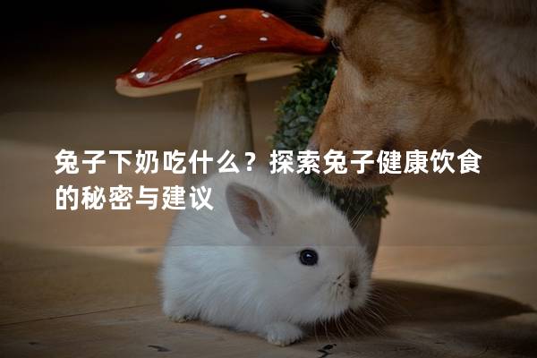 兔子下奶吃什么？探索兔子健康饮食的秘密与建议