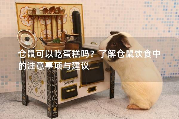 仓鼠可以吃蛋糕吗？了解仓鼠饮食中的注意事项与建议