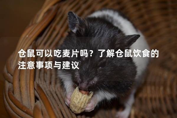 仓鼠可以吃麦片吗？了解仓鼠饮食的注意事项与建议