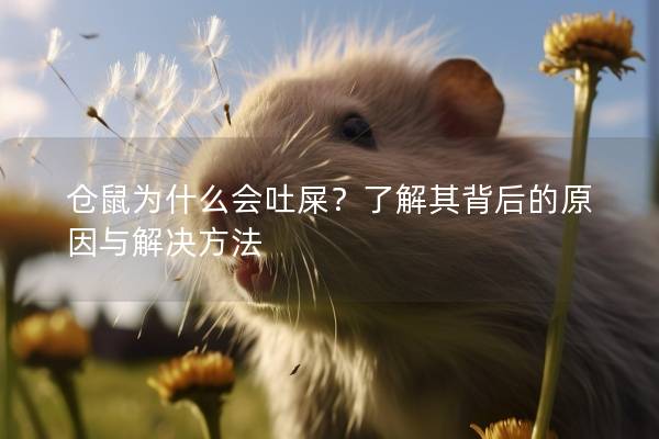 仓鼠为什么会吐屎？了解其背后的原因与解决方法