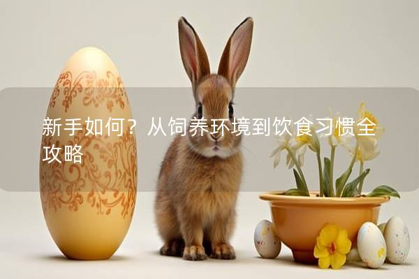 新手如何？从饲养环境到饮食习惯全攻略