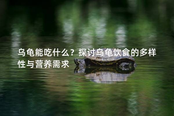 乌龟能吃什么？探讨乌龟饮食的多样性与营养需求