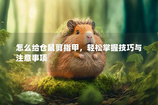 怎么给仓鼠剪指甲，轻松掌握技巧与注意事项
