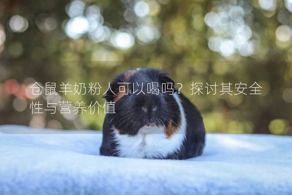 仓鼠羊奶粉人可以喝吗？探讨其安全性与营养价值