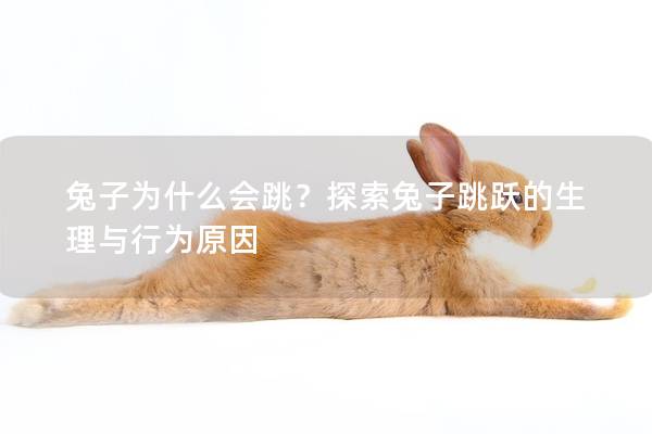 兔子为什么会跳？探索兔子跳跃的生理与行为原因