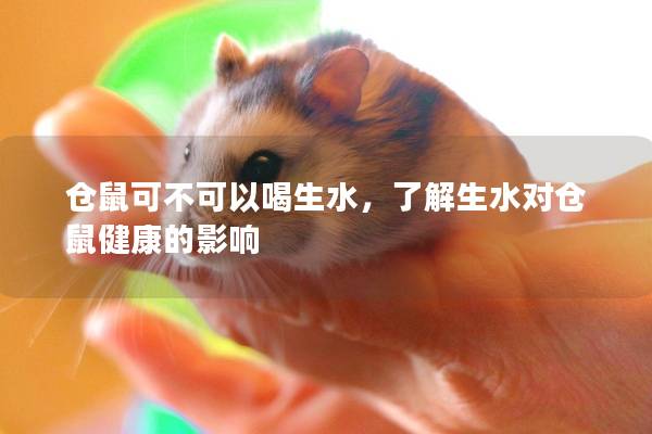 仓鼠可不可以喝生水，了解生水对仓鼠健康的影响