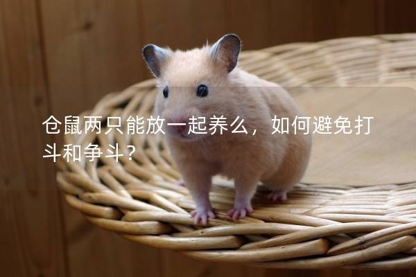 仓鼠两只能放一起养么，如何避免打斗和争斗？