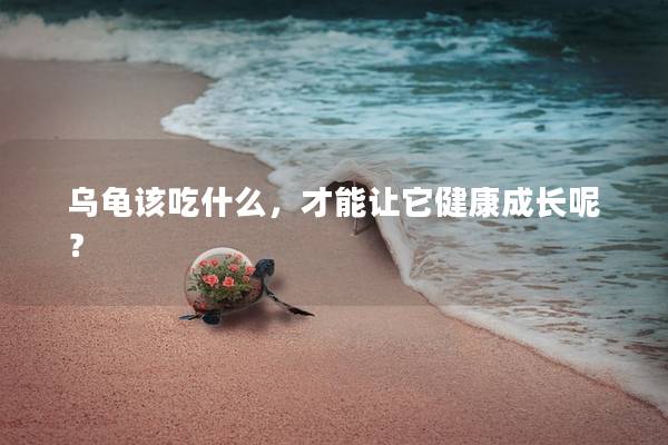 乌龟该吃什么，才能让它健康成长呢？