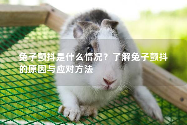 兔子颤抖是什么情况？了解兔子颤抖的原因与应对方法