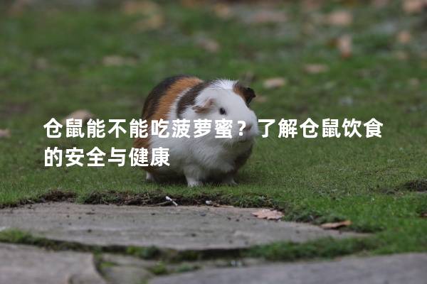 仓鼠能不能吃菠萝蜜？了解仓鼠饮食的安全与健康