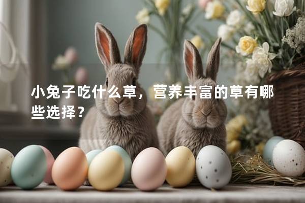 小兔子吃什么草，营养丰富的草有哪些选择？