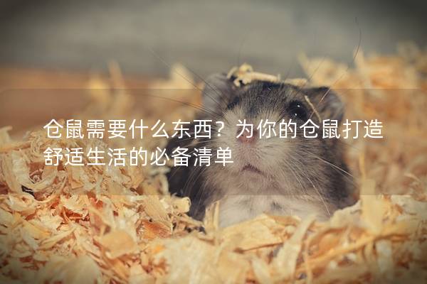 仓鼠需要什么东西？为你的仓鼠打造舒适生活的必备清单