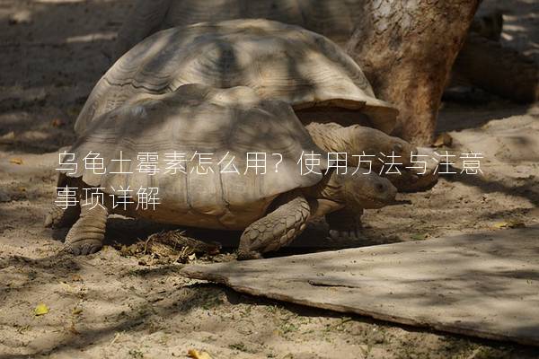 乌龟土霉素怎么用？使用方法与注意事项详解