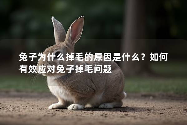 兔子为什么掉毛的原因是什么？如何有效应对兔子掉毛问题