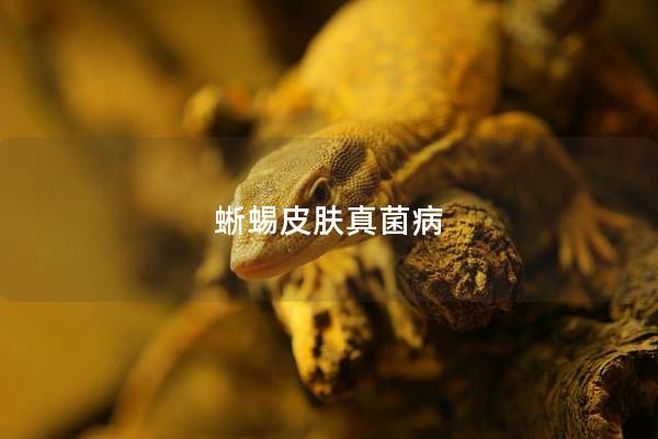 蜥蜴皮肤真菌病