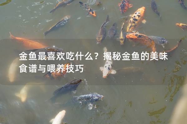 金鱼最喜欢吃什么？揭秘金鱼的美味食谱与喂养技巧
