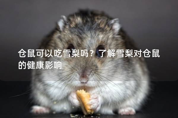 仓鼠可以吃雪梨吗？了解雪梨对仓鼠的健康影响