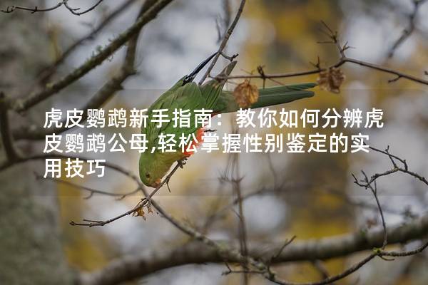 虎皮鹦鹉新手指南：教你如何分辨虎皮鹦鹉公母,轻松掌握性别鉴定的实用技巧